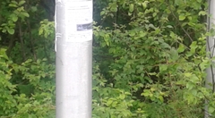20180606_061223