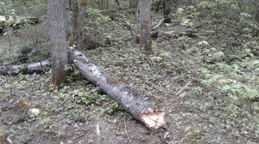 20180613_103656