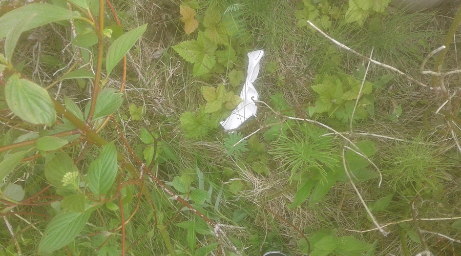 20180629_152527